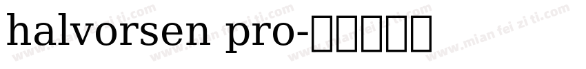 halvorsen pro字体转换